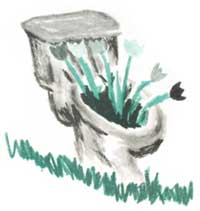 Human waste doesn't have to be wasted.